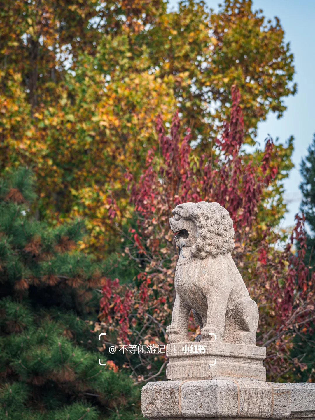 把“石家庄”写进名字的纪念日，就在今天