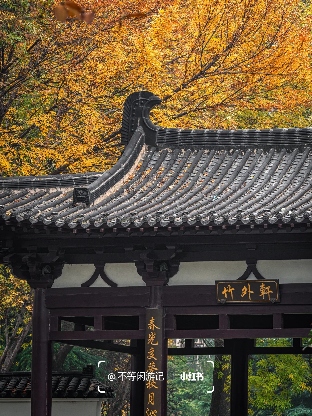 石家庄📍中式美学配秋色，这些公园——绝了🍂