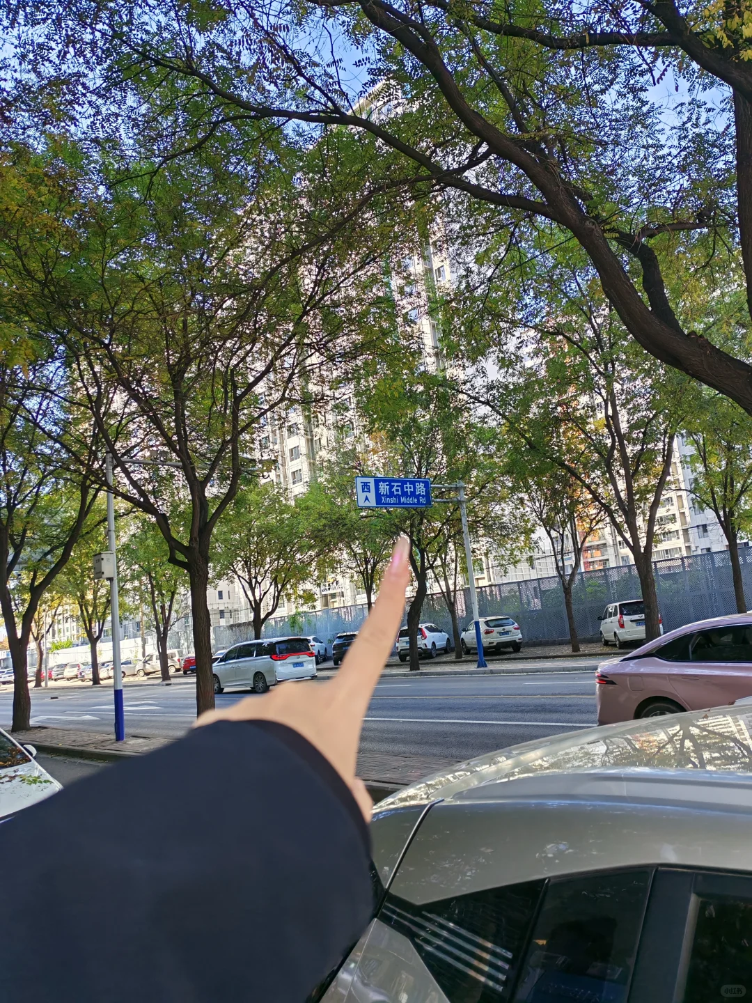 中医太牛了！！！被石家庄朋友推荐来…