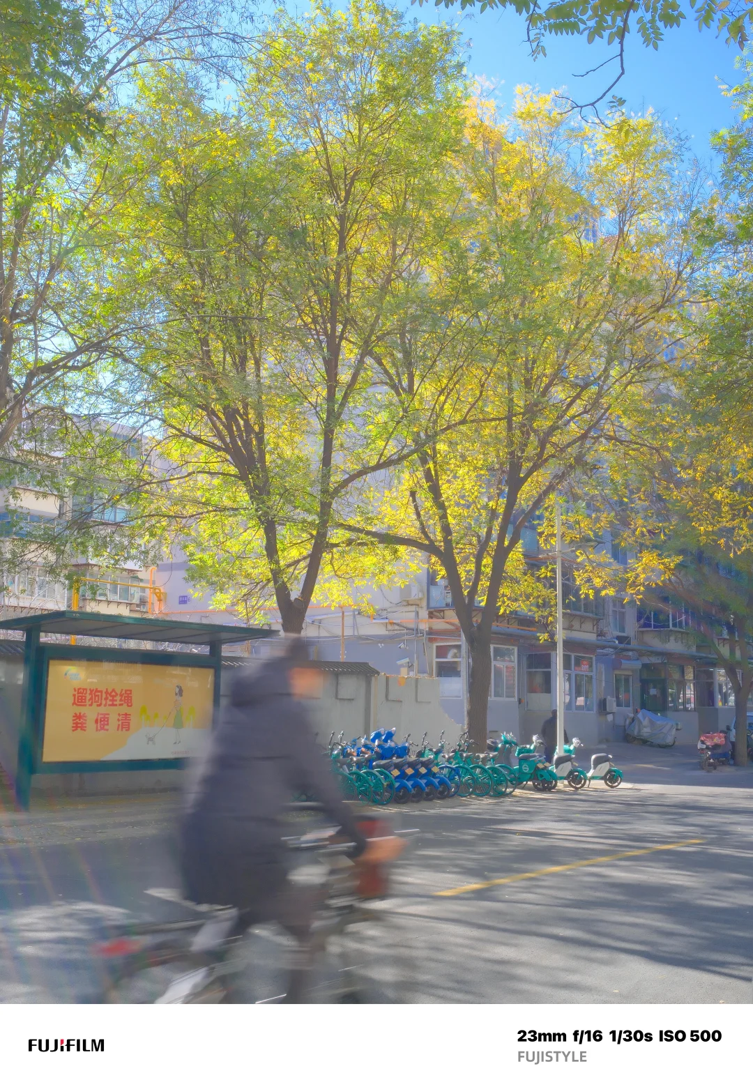 石家庄Citywalk｜阳光肆意