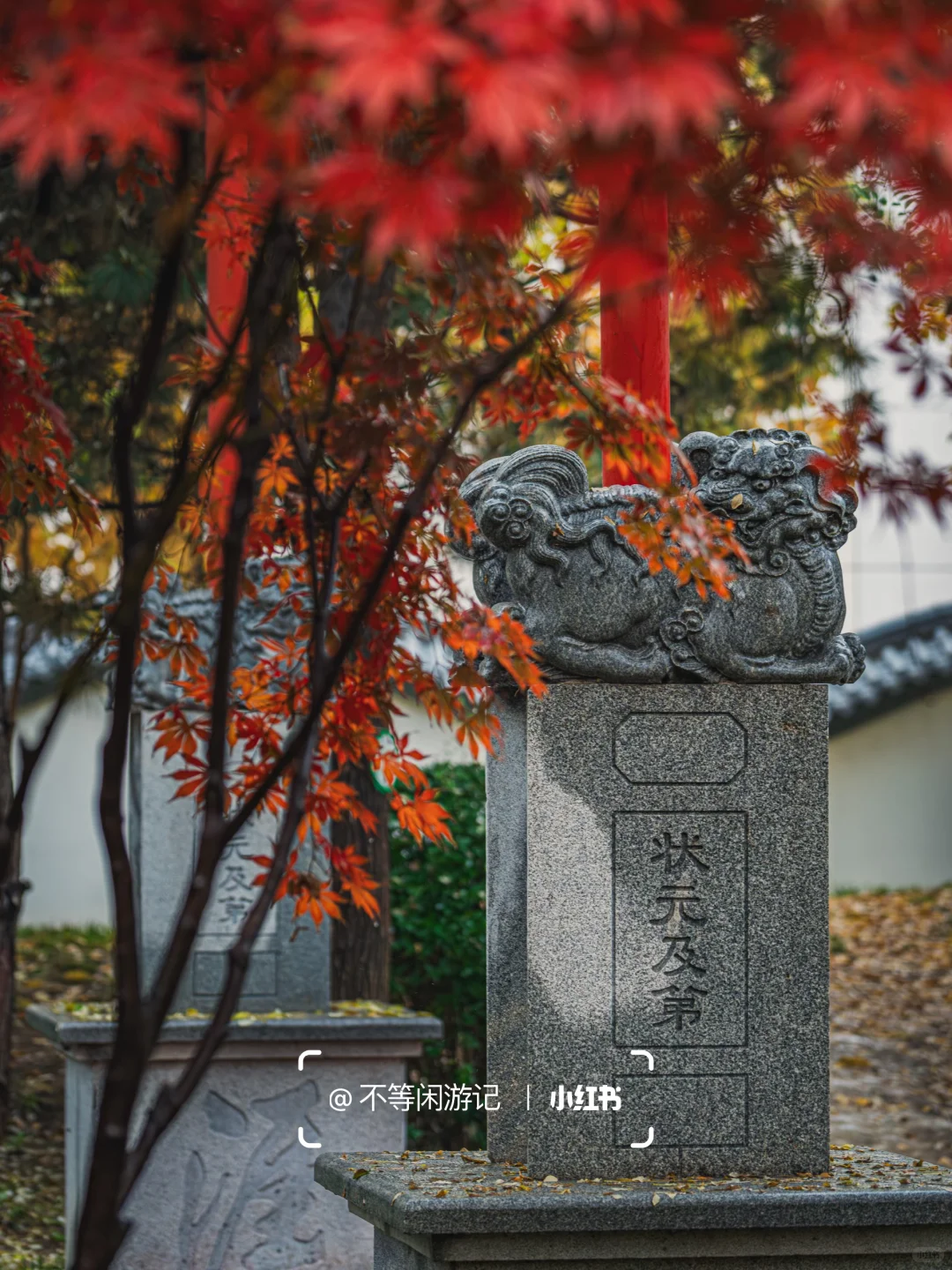 石家庄📍中式美学配秋色，这些公园——绝了🍂