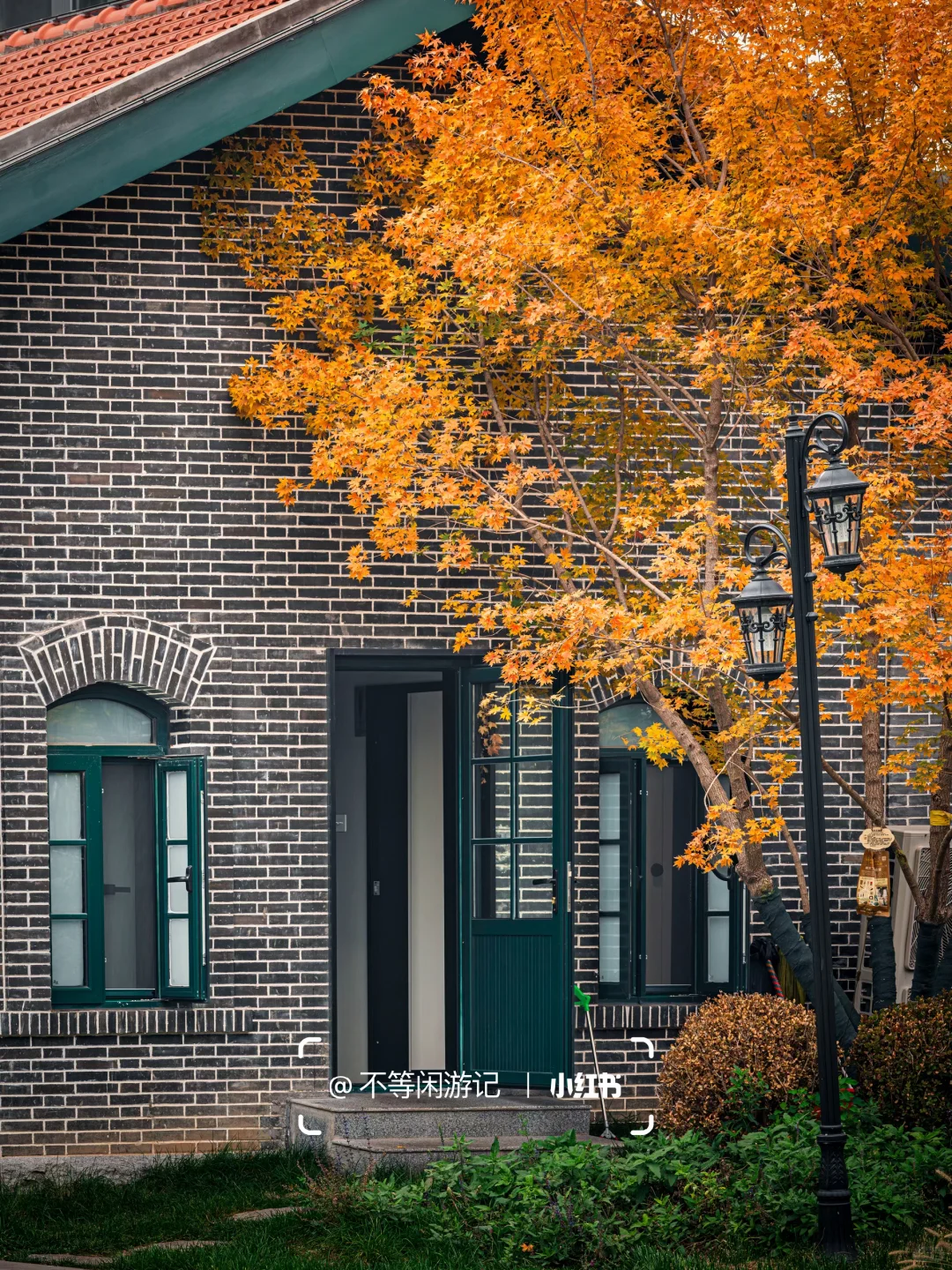 石家庄📍洋气的秋天，藏在这几个地方🍁