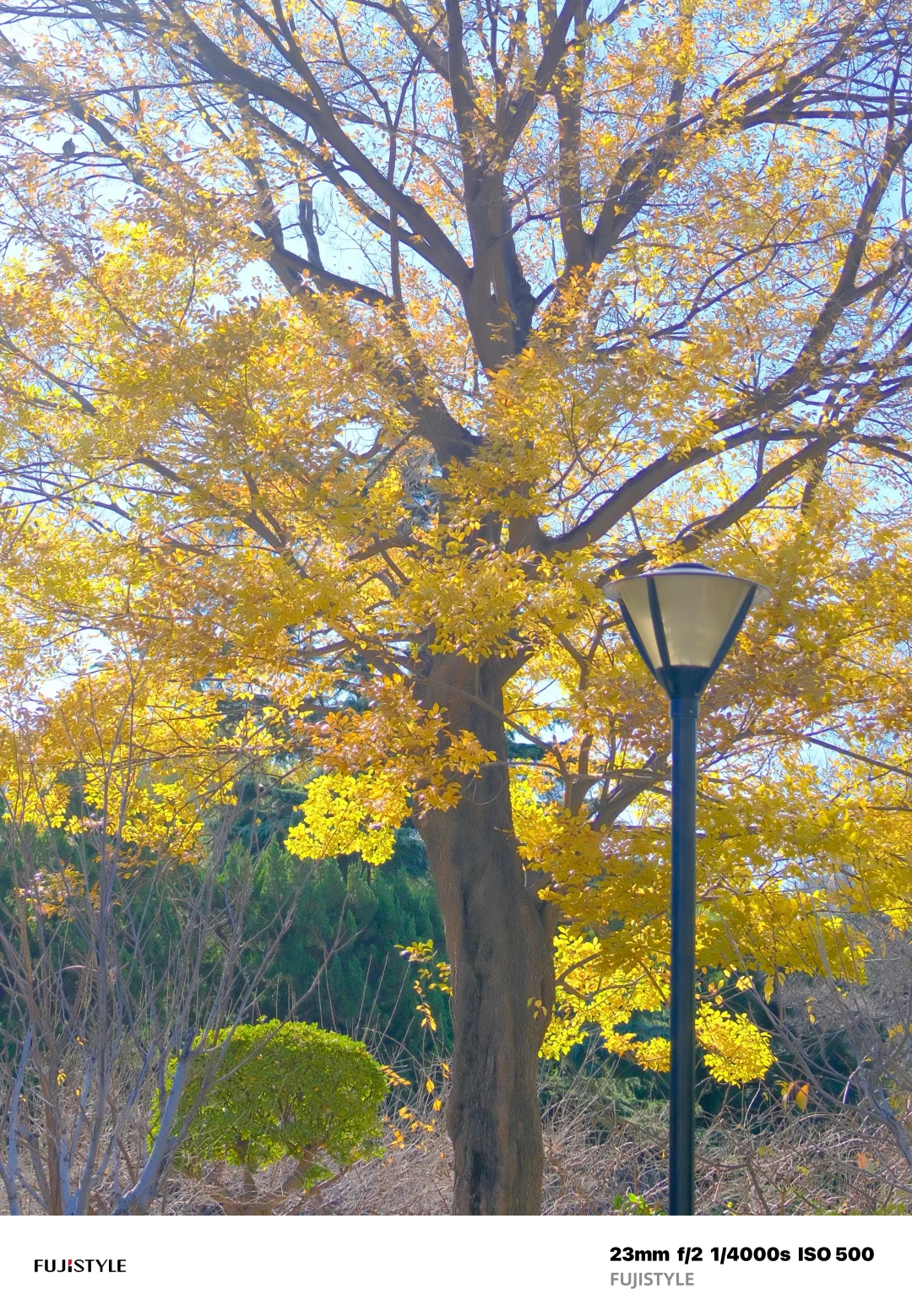 石家庄Citywalk｜阳光肆意