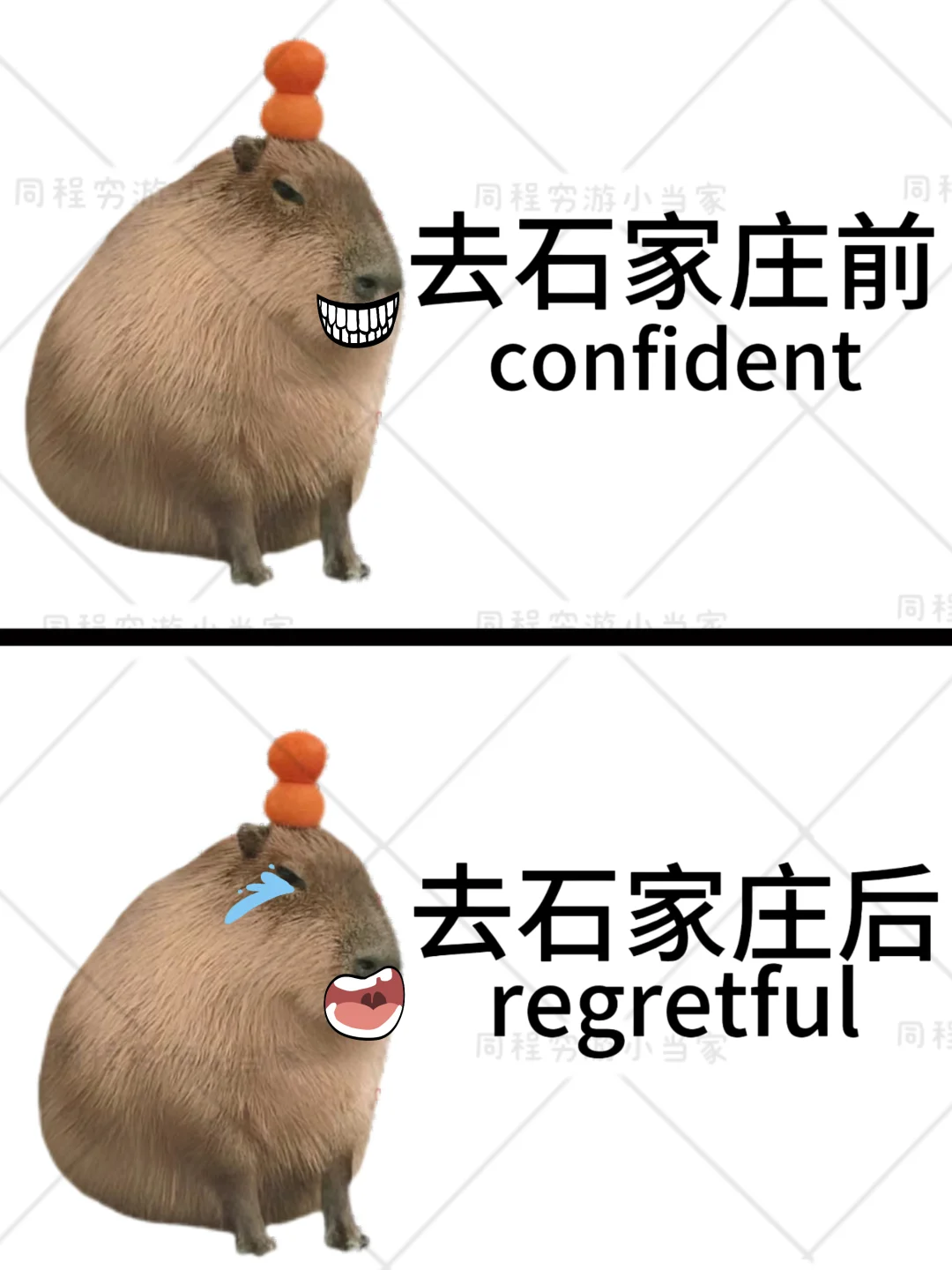 愿每个去石家庄旅游的人都能刷到这篇🙏