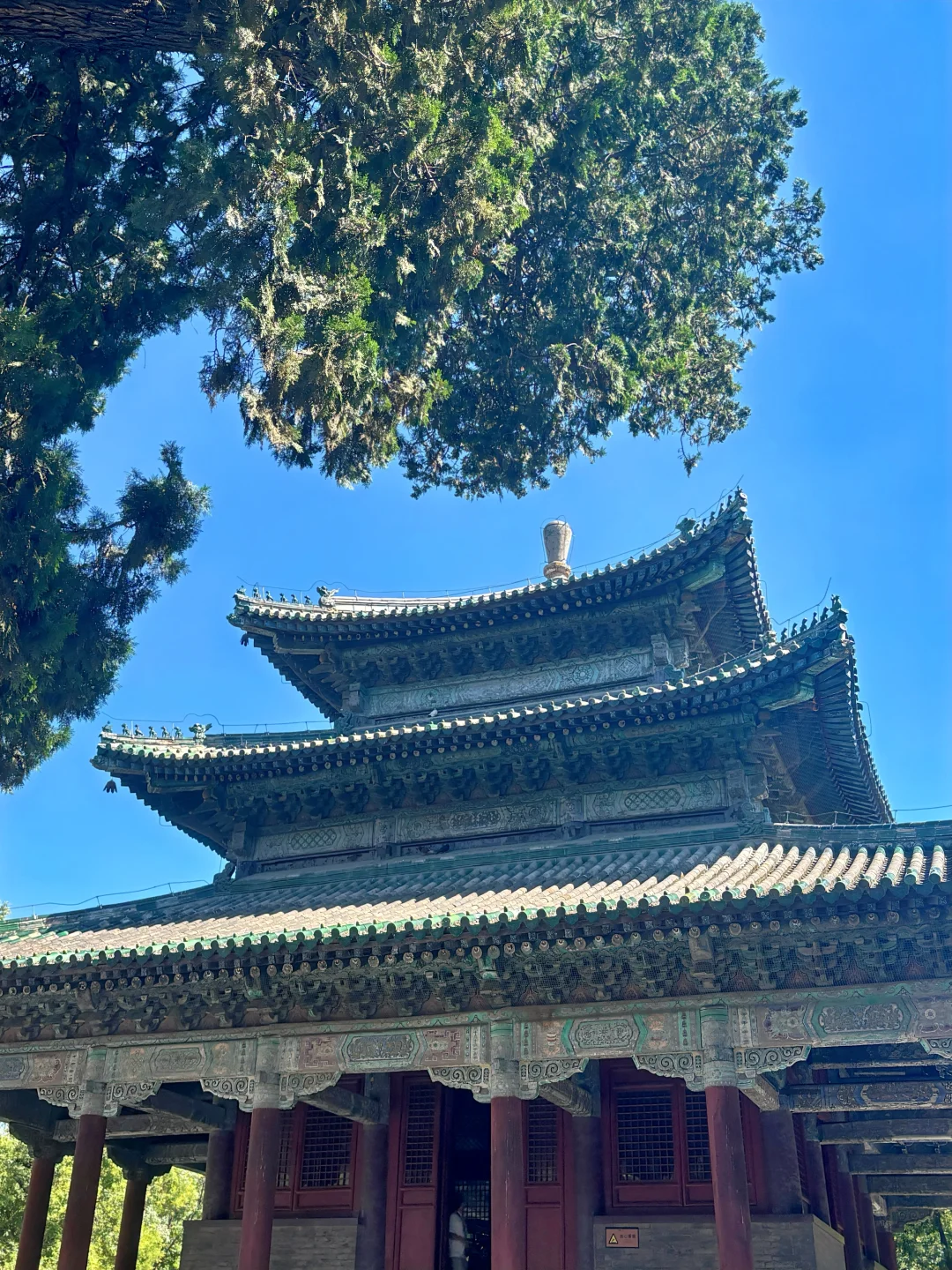 全好评的隆兴寺讲解 正定土著带您探秘六最