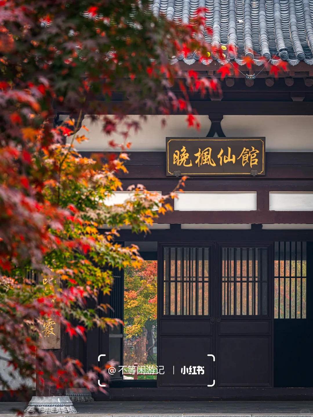 石家庄📍中式美学配秋色，这些公园——绝了🍂