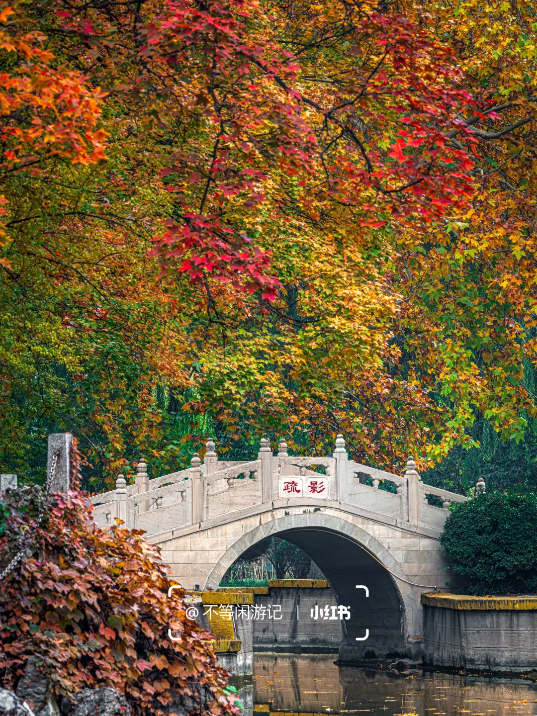 石家庄📍中式美学配秋色，这些公园——绝了🍂