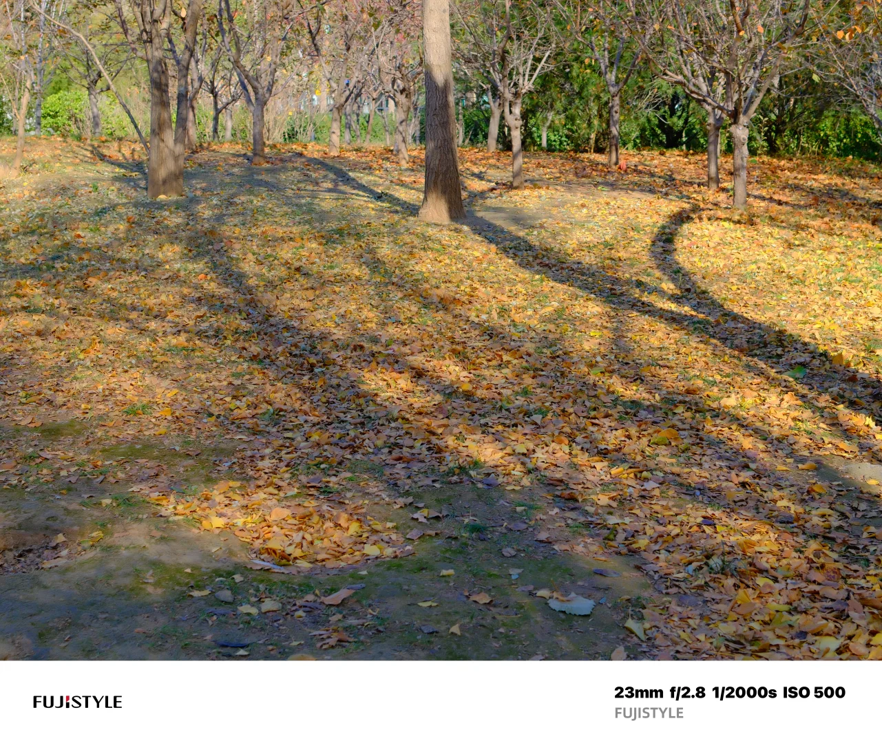 石家庄Citywalk｜阳光肆意