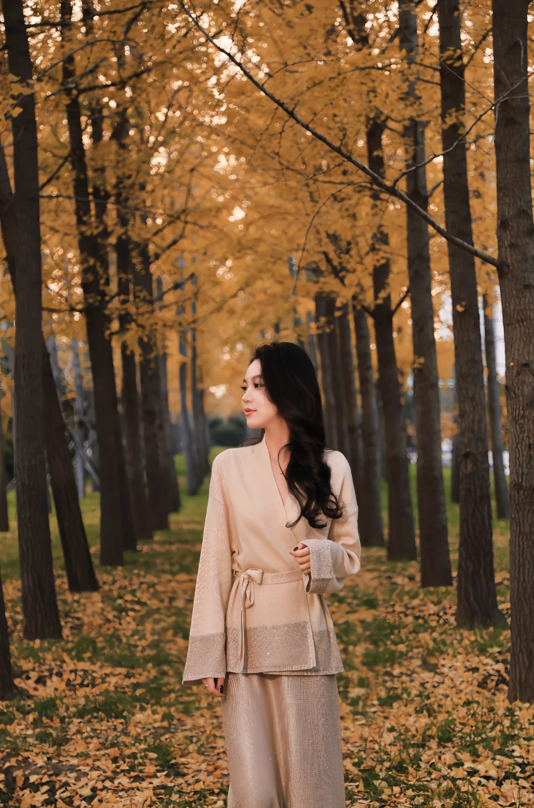 石家庄银杏大道！附带详细位置