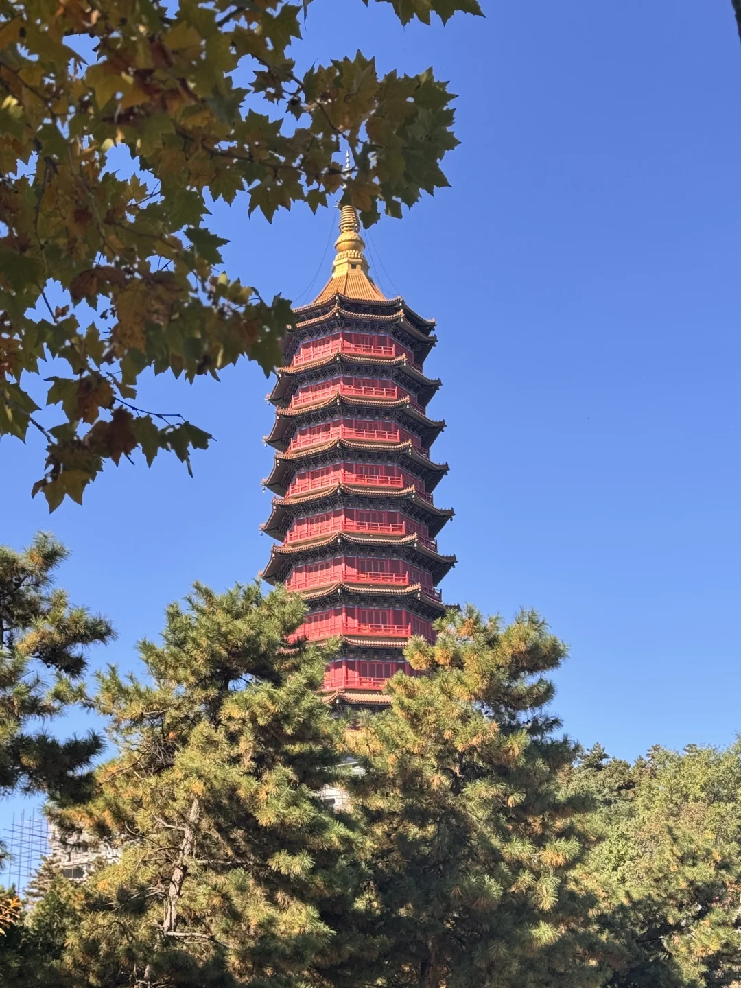 我好像看到了哈利波特的世界🏰