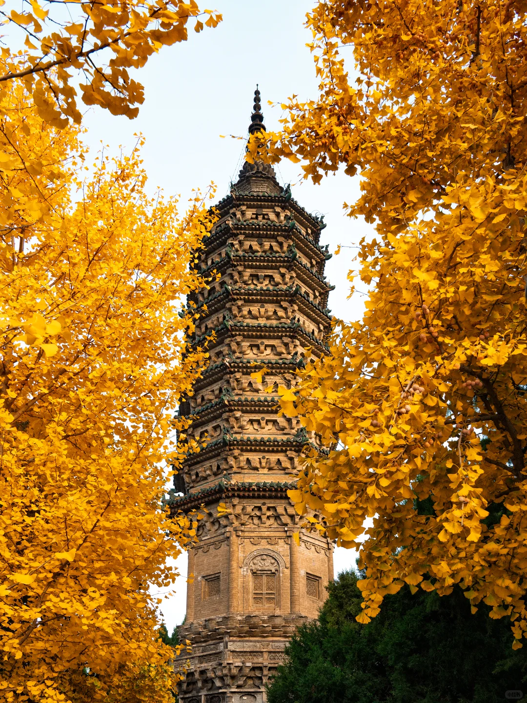 周末逃离北京，正定，一个被低估的宝藏古城