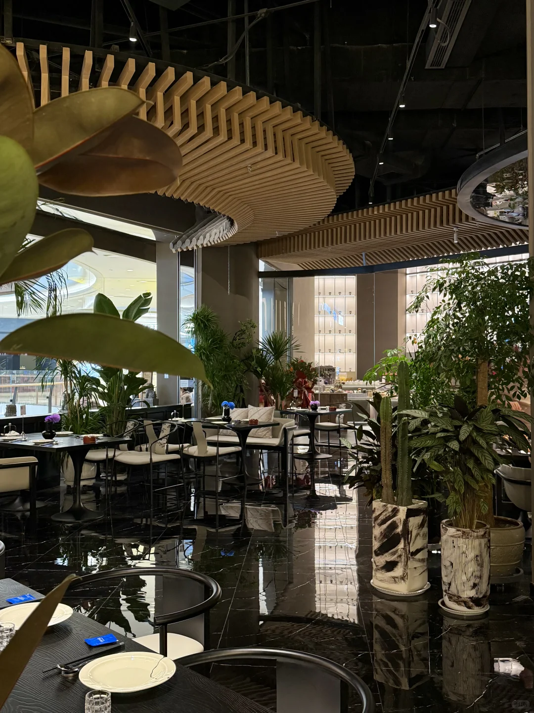 石家庄人真的很会花小钱装大杯！！！