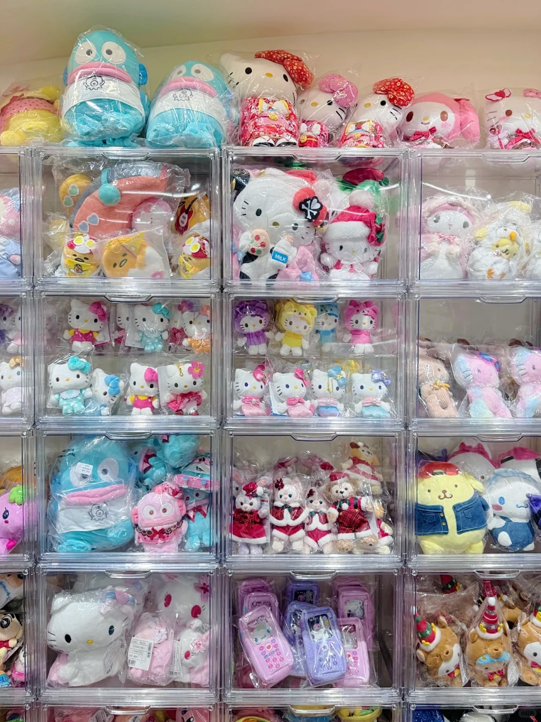 不是日本！！是石家庄❗️❗️ＮO1⃣️三丽鸥线下店