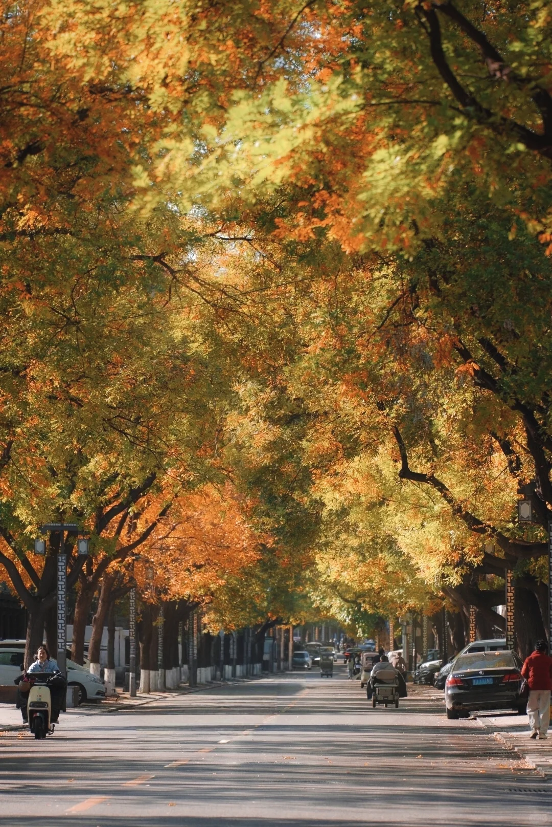 周末逃离北京，正定，一个被低估的宝藏古城