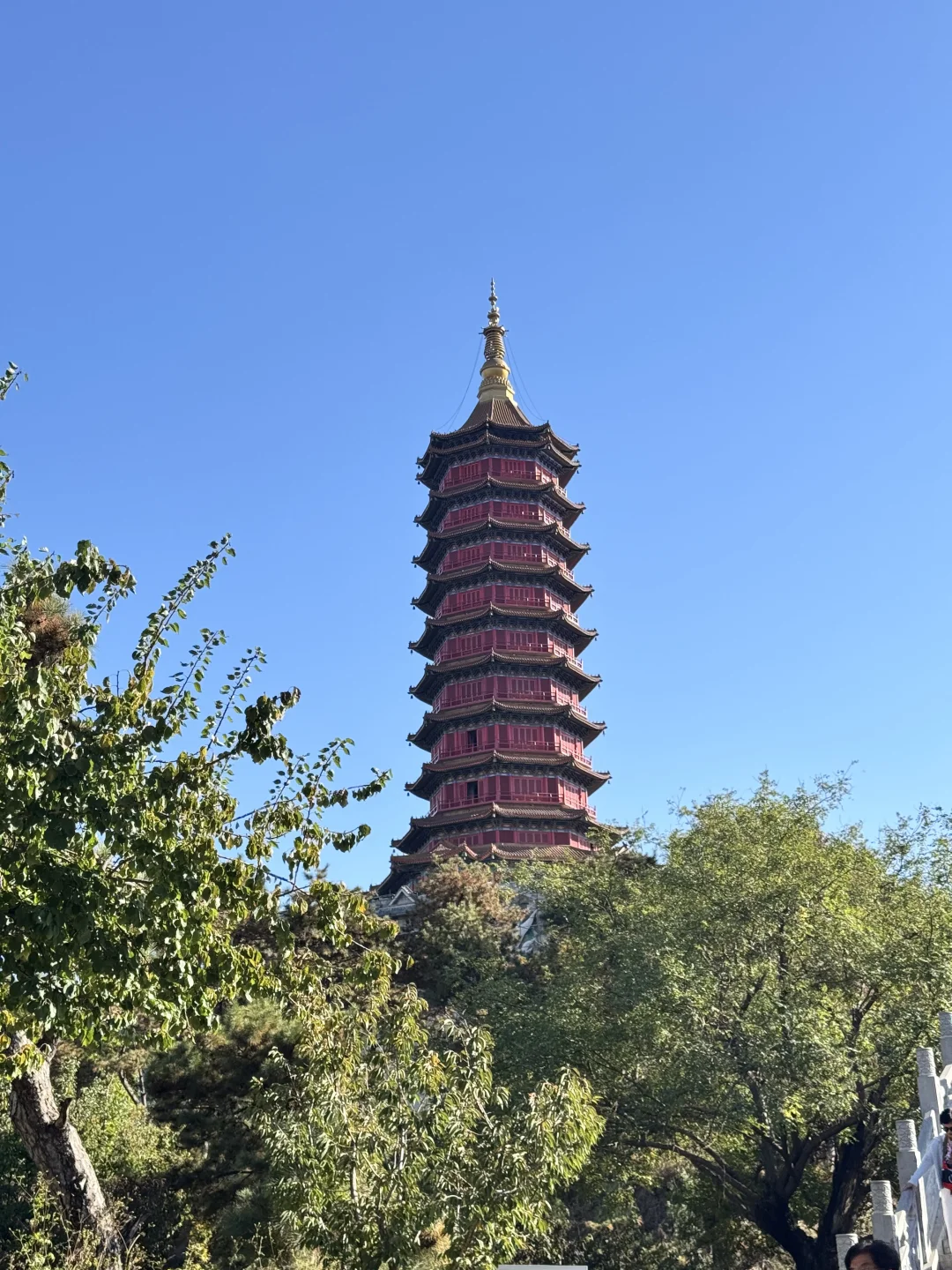 我好像看到了哈利波特的世界🏰