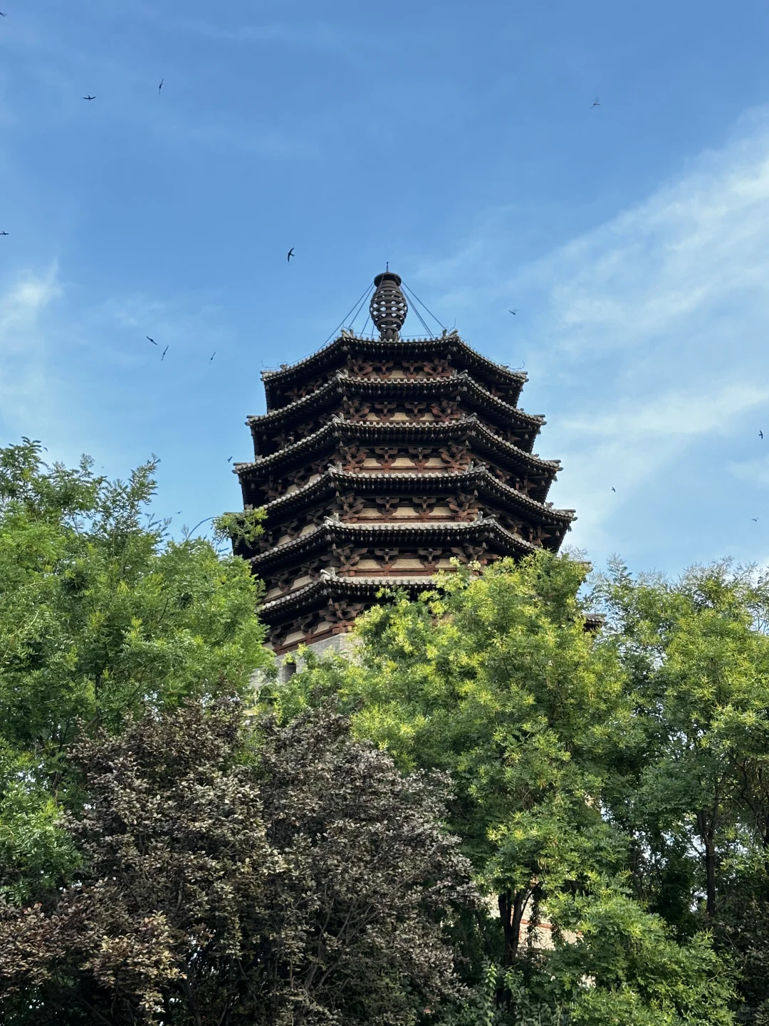 🌍国际庄Welcome friends!