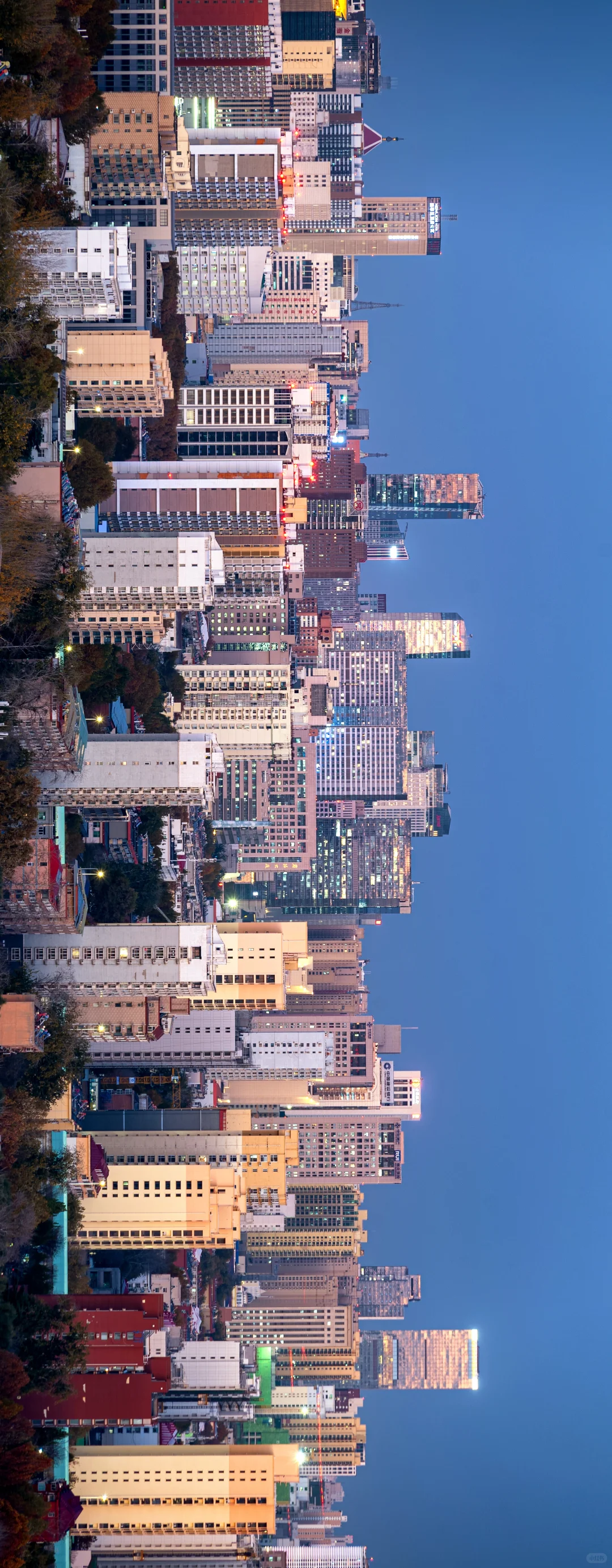 逃离「石家庄」