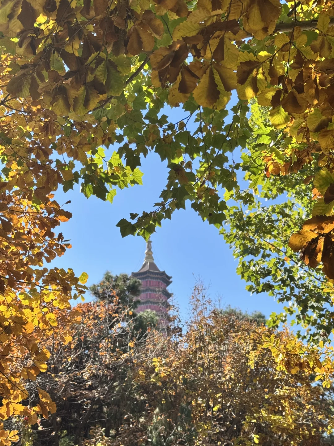 我好像看到了哈利波特的世界🏰