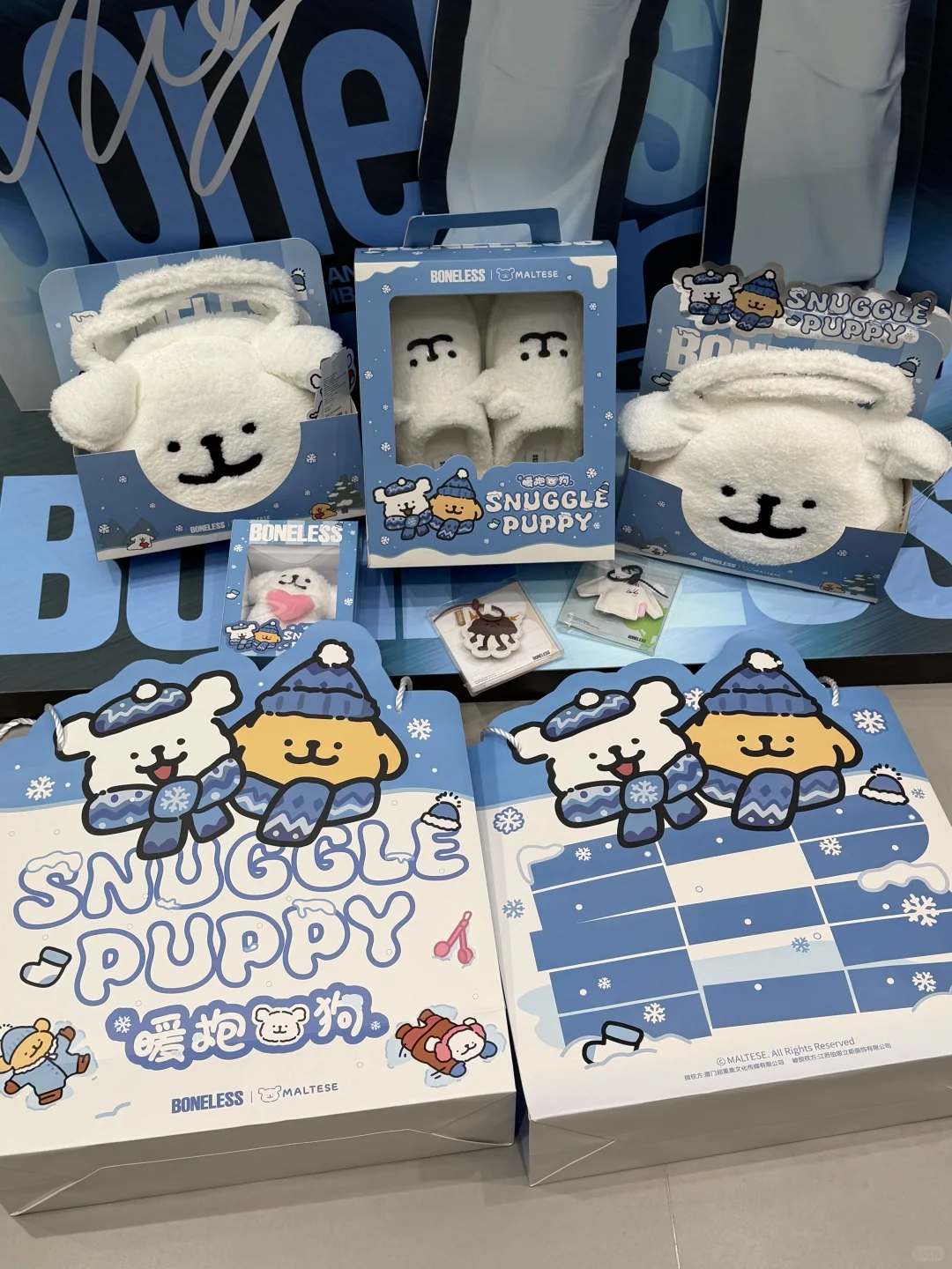 石家庄！终于上新了！