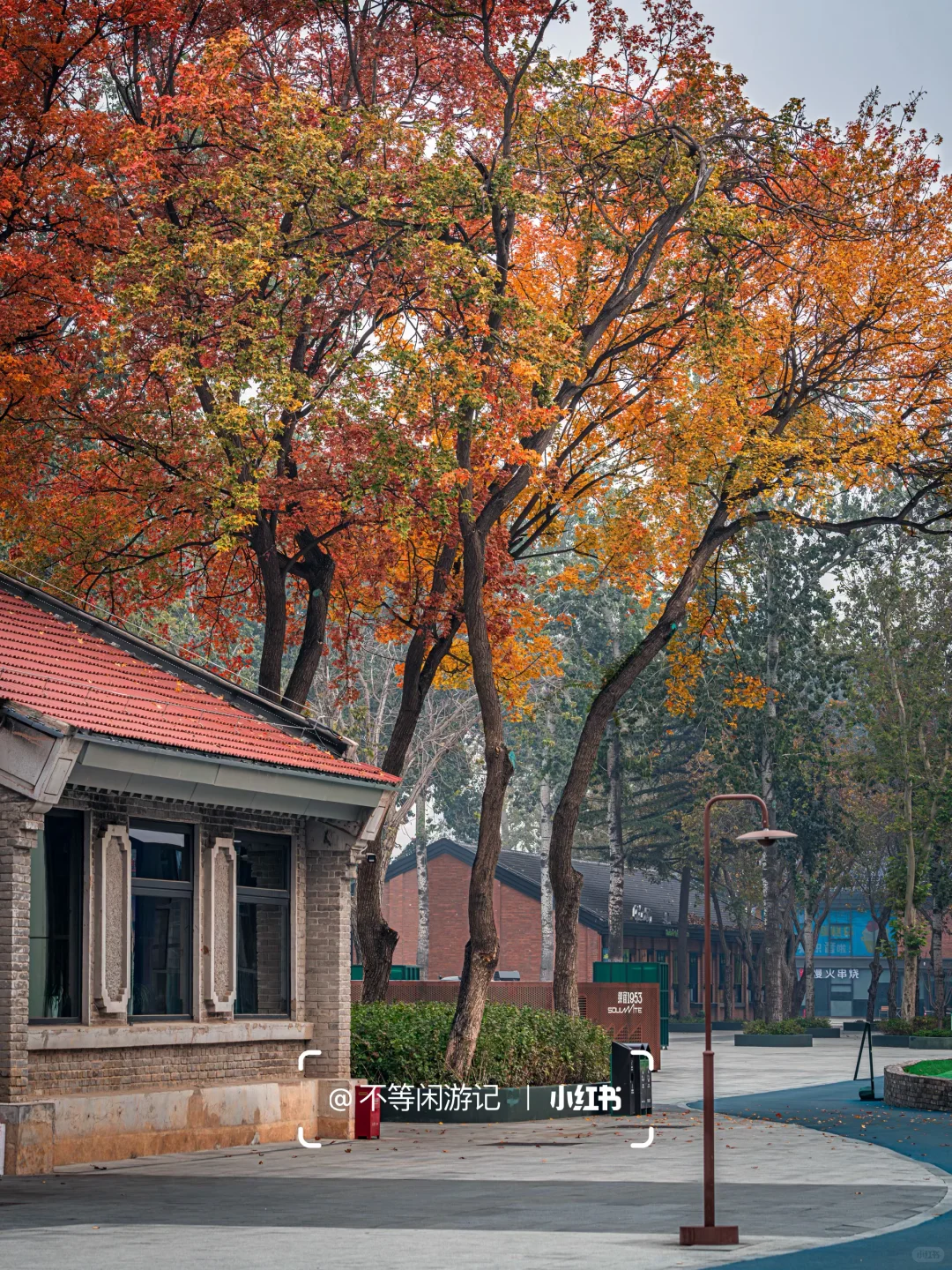 石家庄📍洋气的秋天，藏在这几个地方🍁