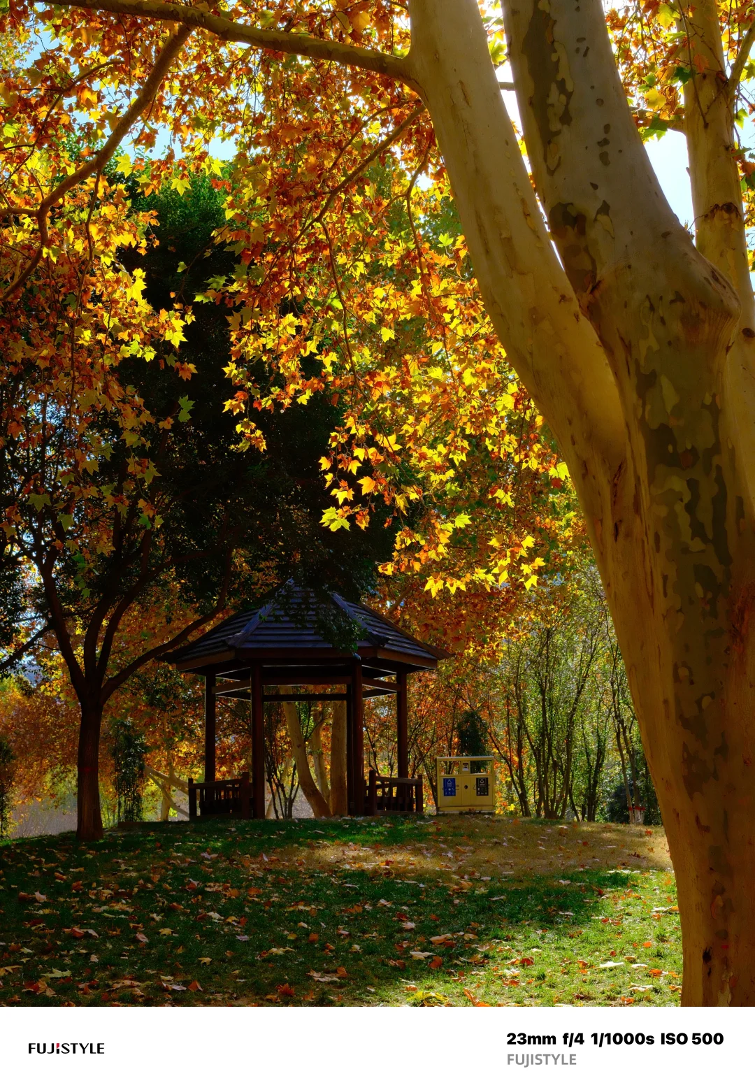 石家庄Citywalk｜阳光肆意