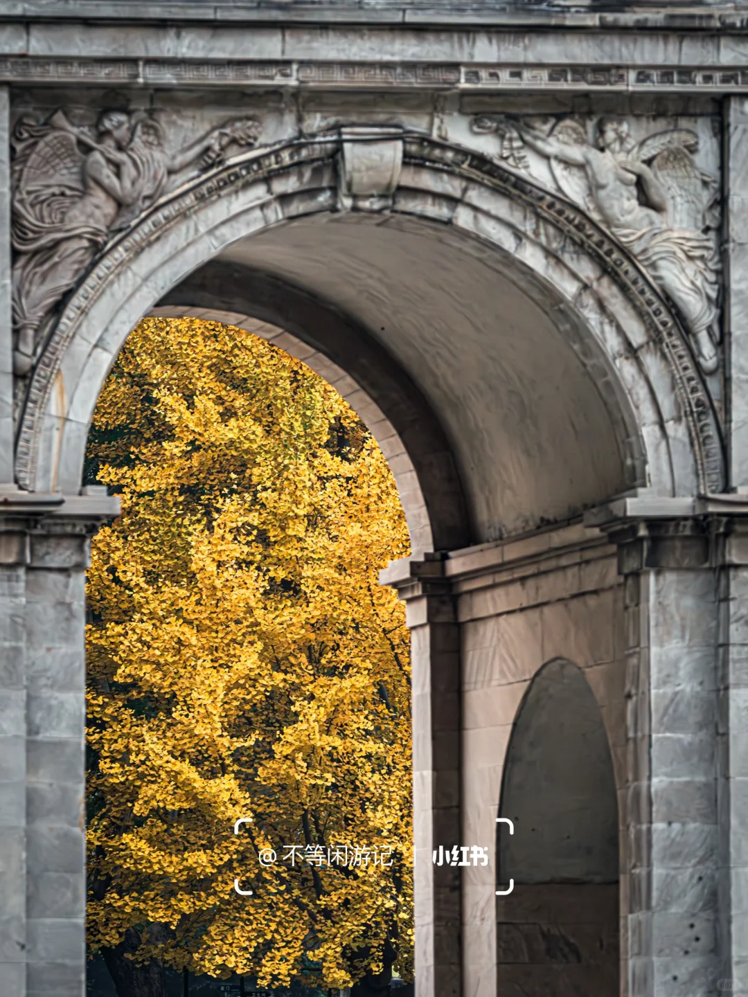 石家庄📍洋气的秋天，藏在这几个地方🍁