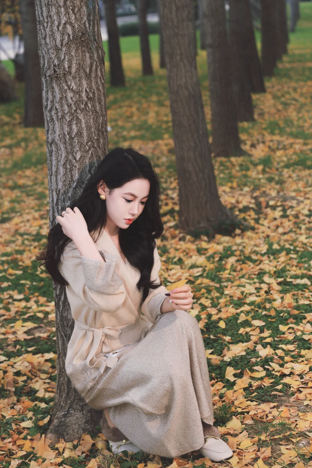 石家庄银杏大道！附带详细位置