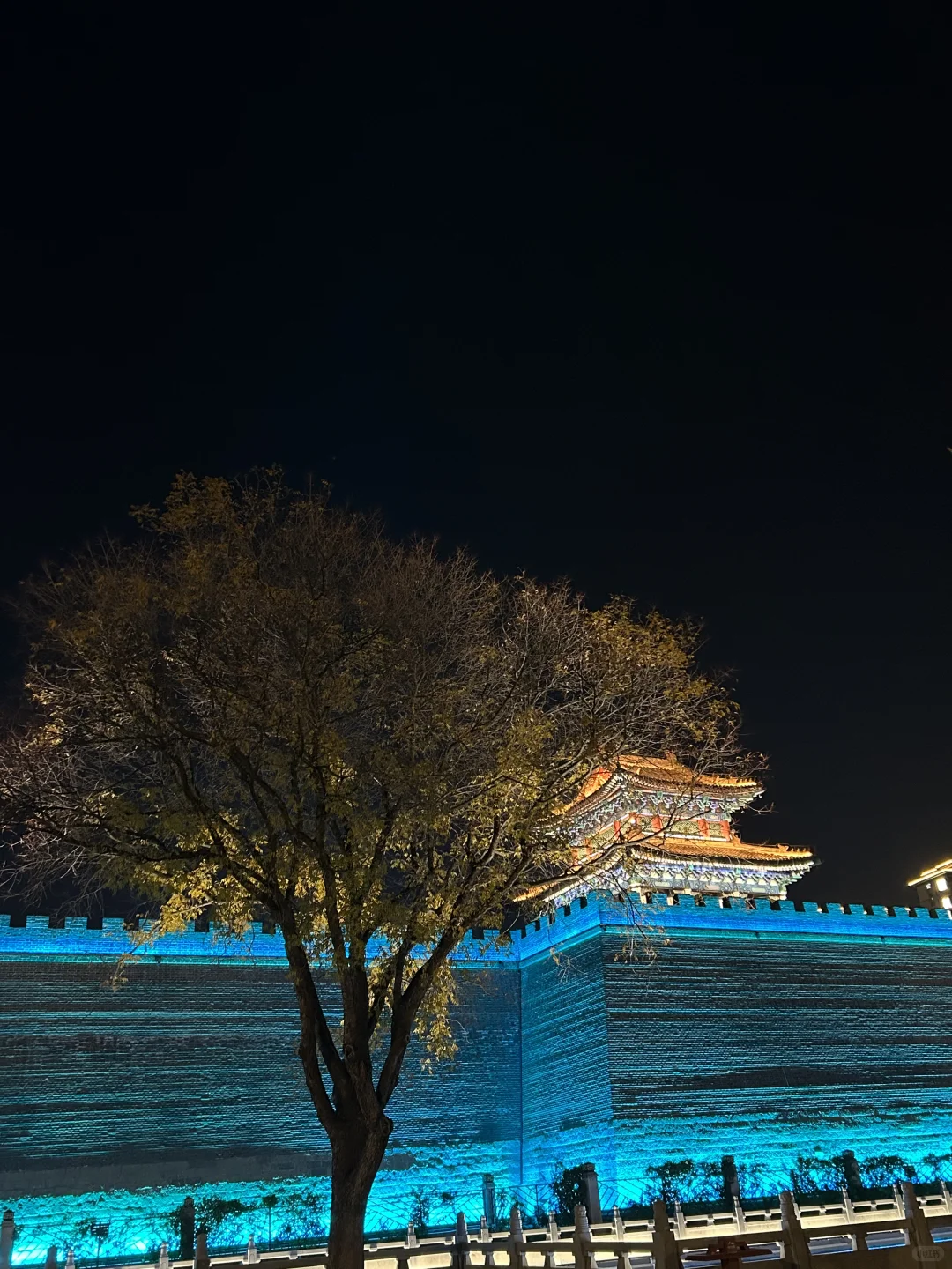 在外地的邢台人今年还回来过年吗？