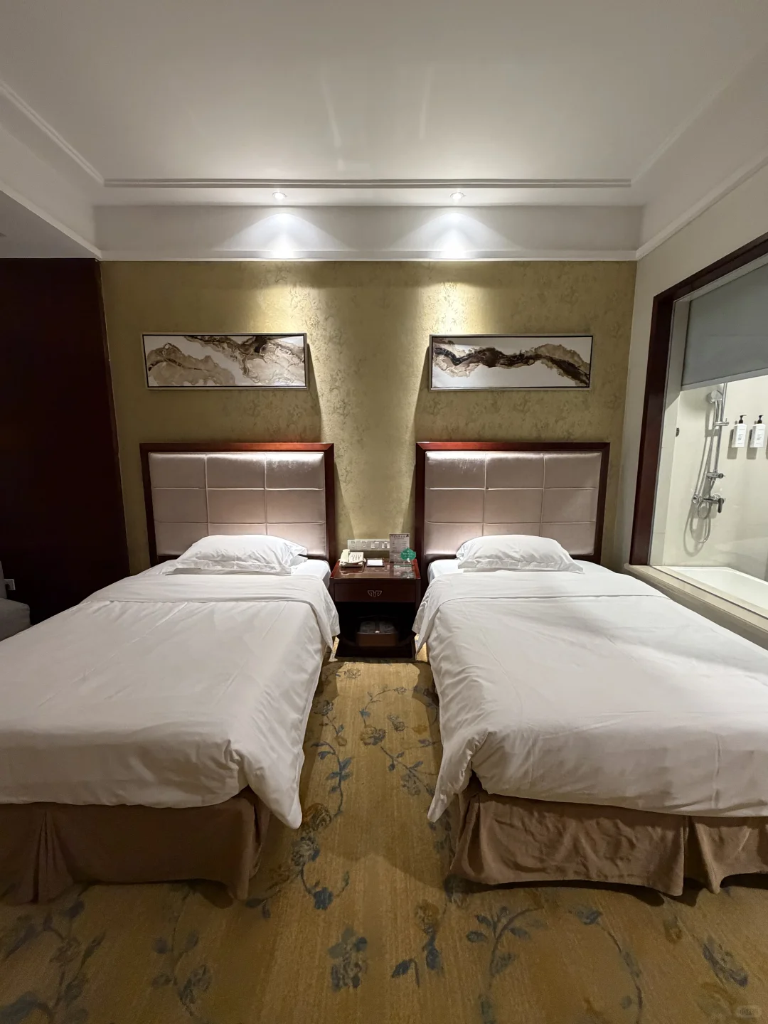 邢台❗图书馆附近❗300多💰五星级酒店