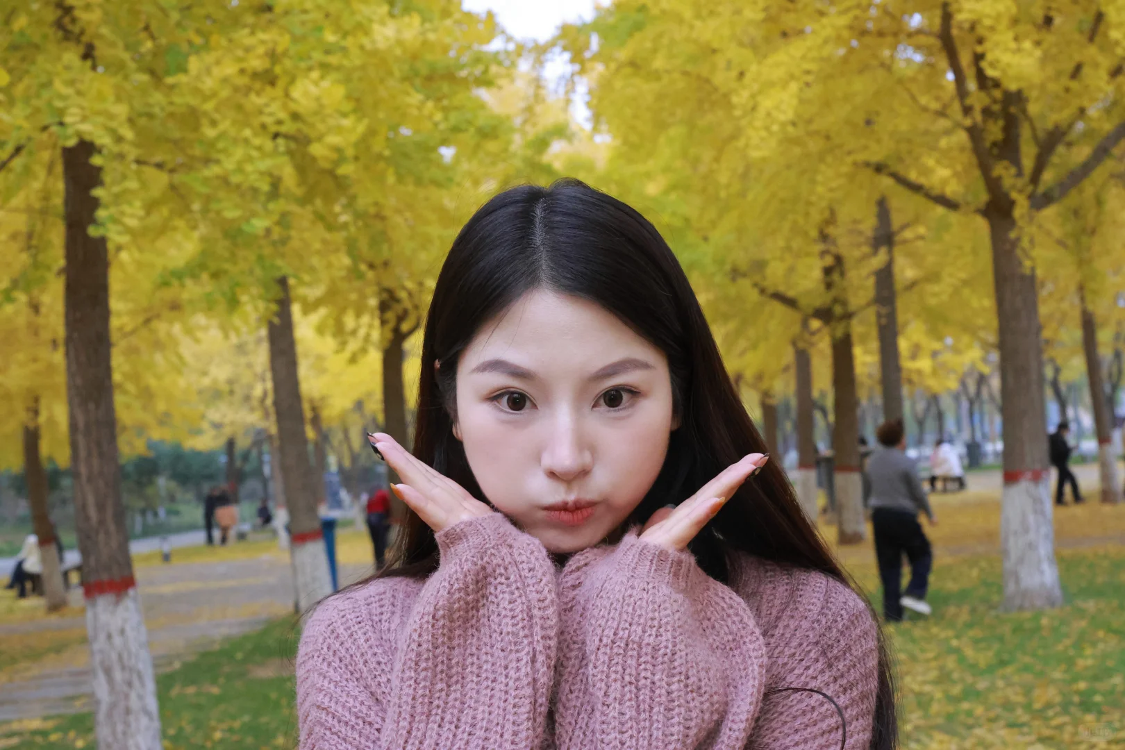 9.9一张的photobooth 周日要去邢台达活泉了