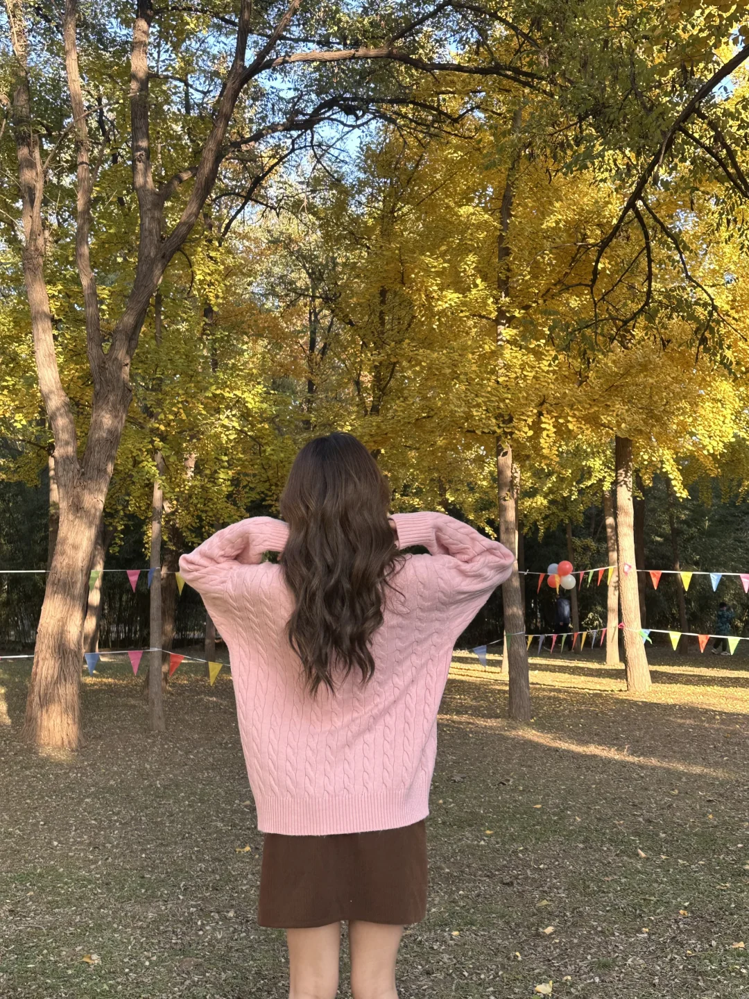 邢台森林公园的秋