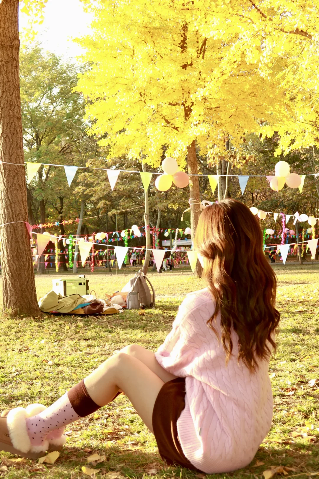 邢台森林公园的秋