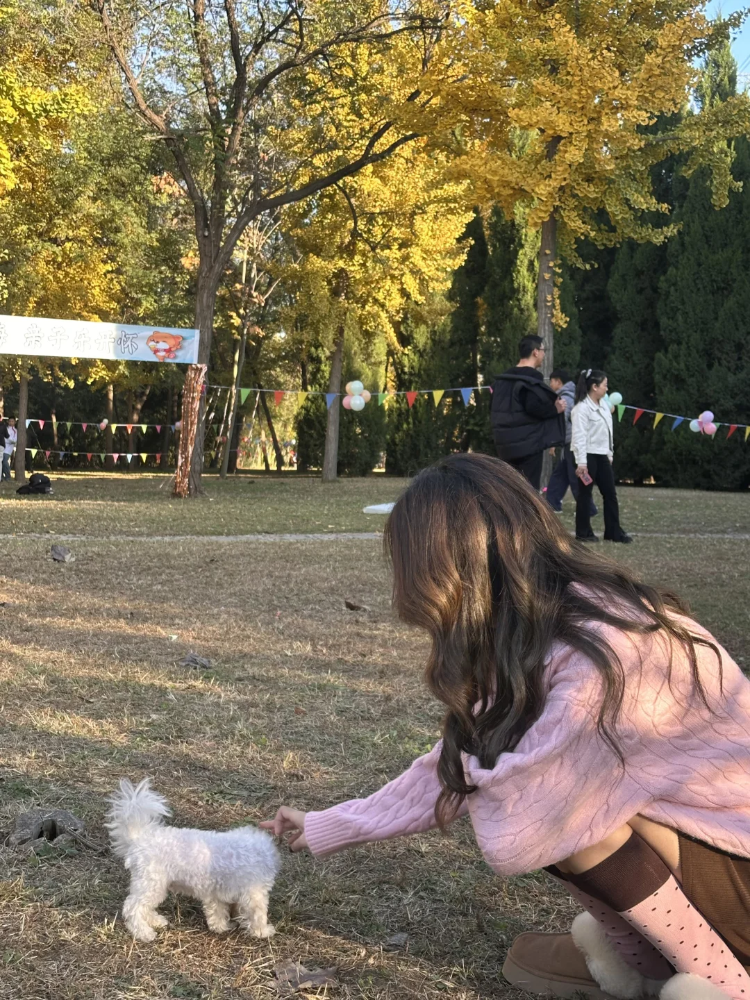 邢台森林公园的秋