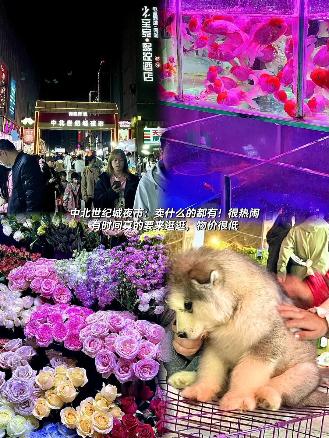 邢台超全保姆攻略看这一篇就够（吃、玩、逛）🧐