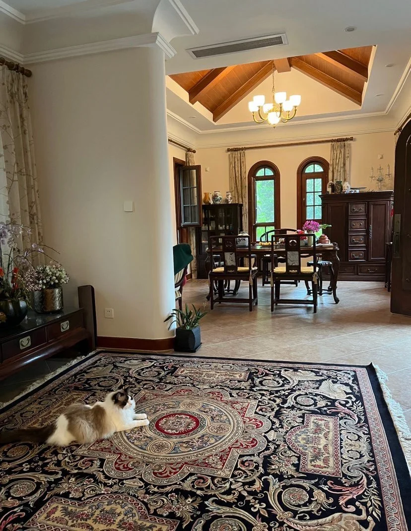 可以认识很多邢台人吗🤪🤪🤪