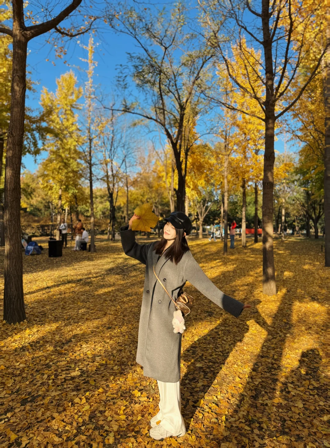 邢台的秋🍂