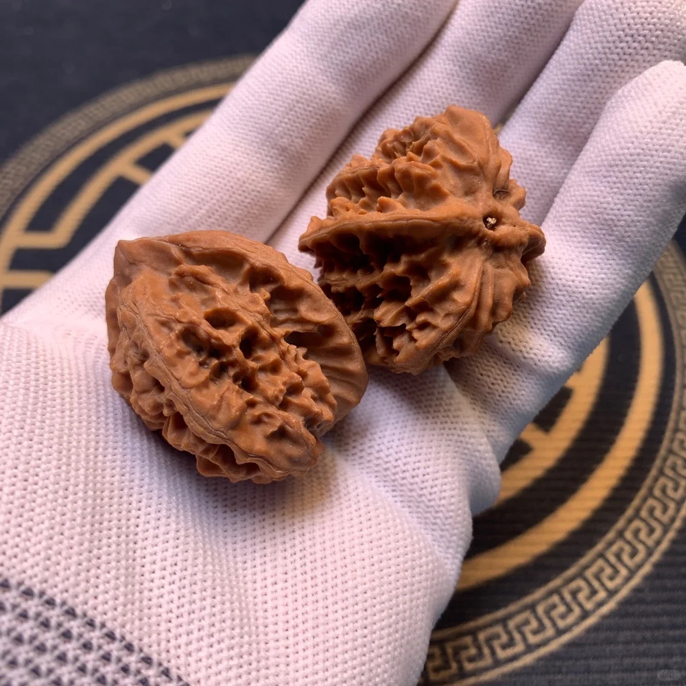 ✨邢台元宝麻核桃，新品种草来啦！