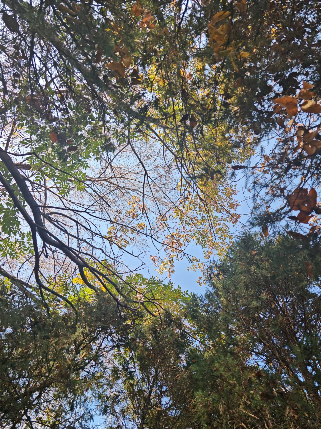 邢台市达活泉公园