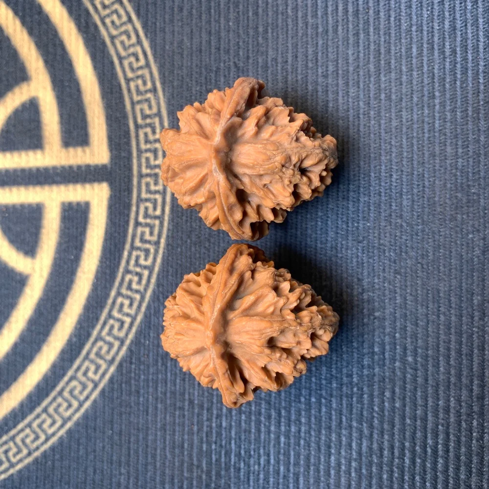 ✨邢台元宝麻核桃，新品种草来啦！