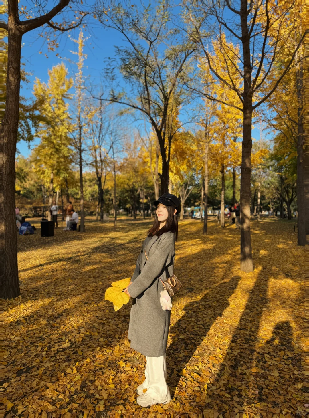 邢台的秋🍂