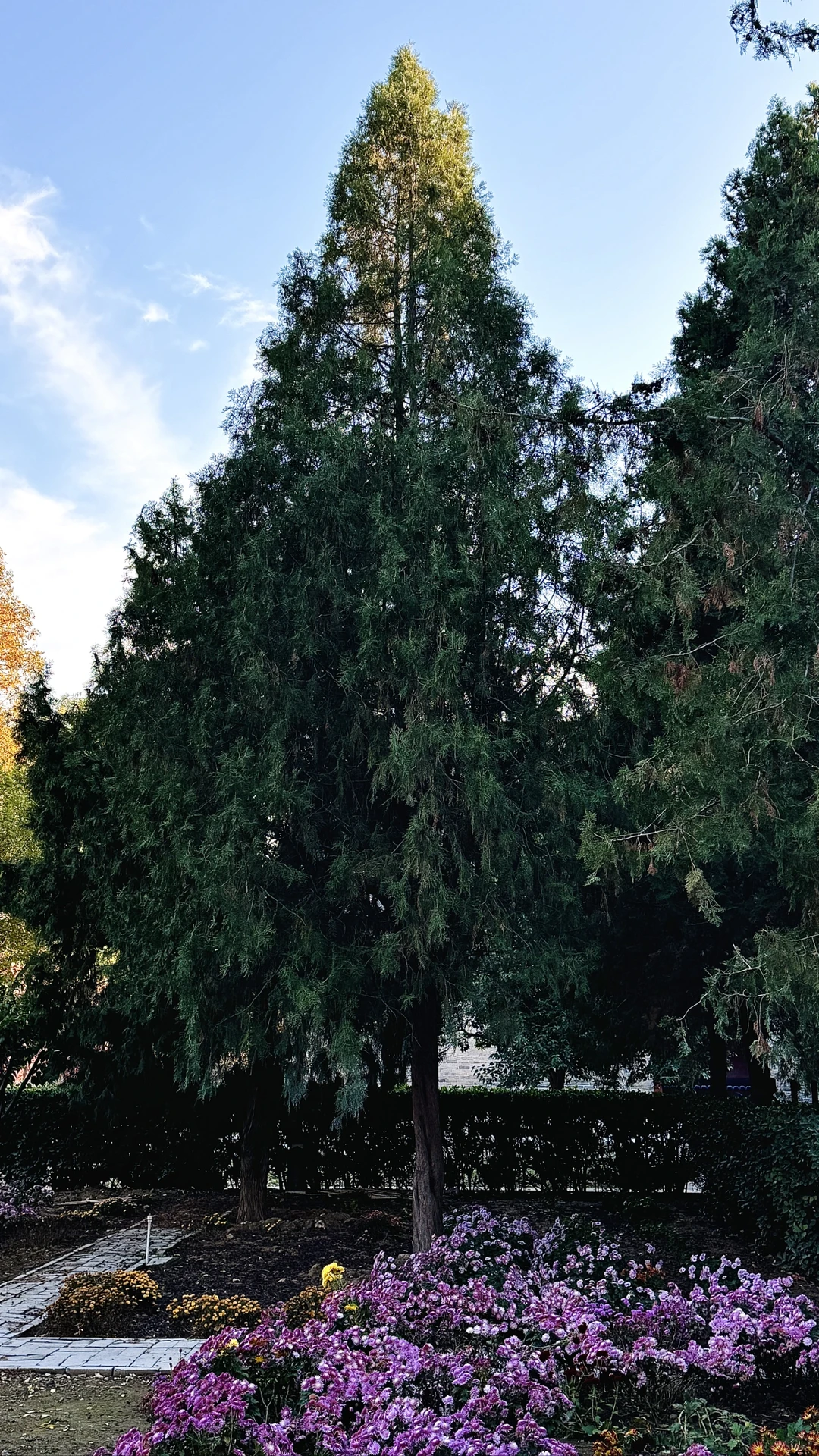 邢台·大开元寺