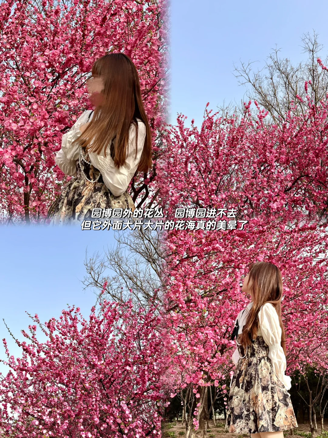 邢台超全保姆攻略看这一篇就够（吃、玩、逛）🧐