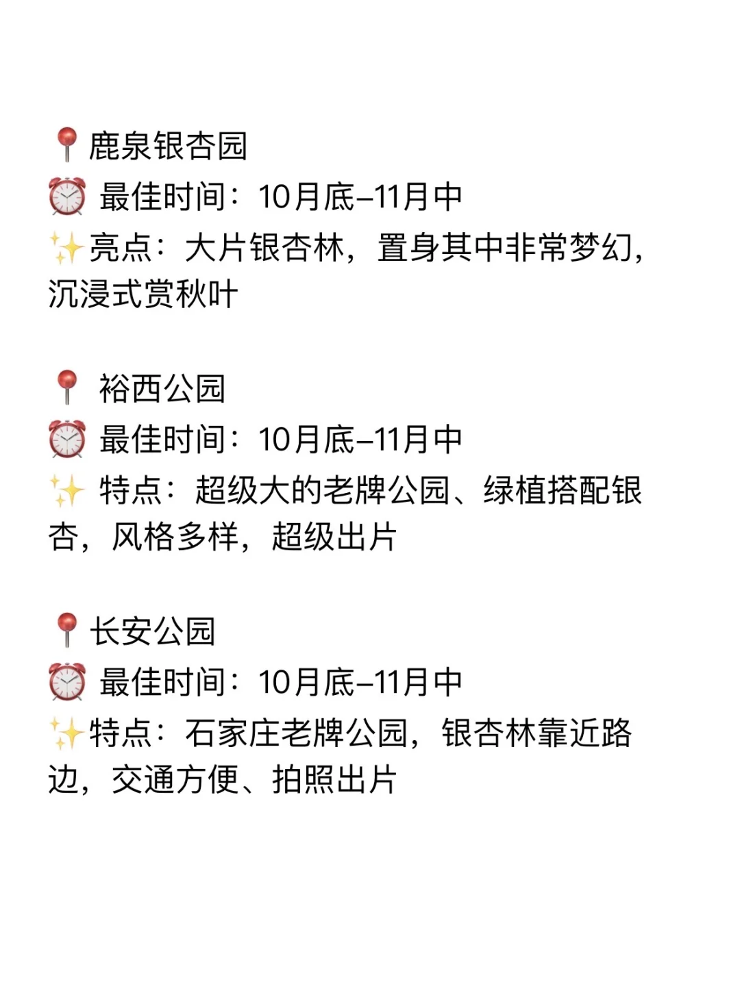 石家庄，赏银杏的绝美打卡地！