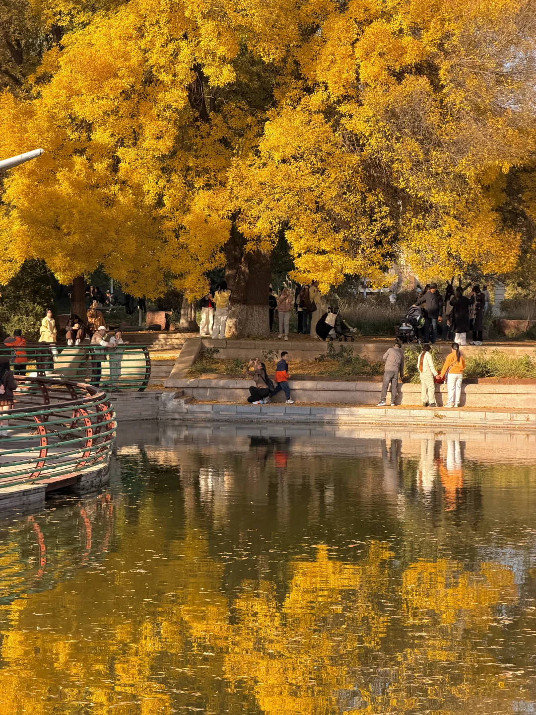 石家庄秋天嘎嘎美！
