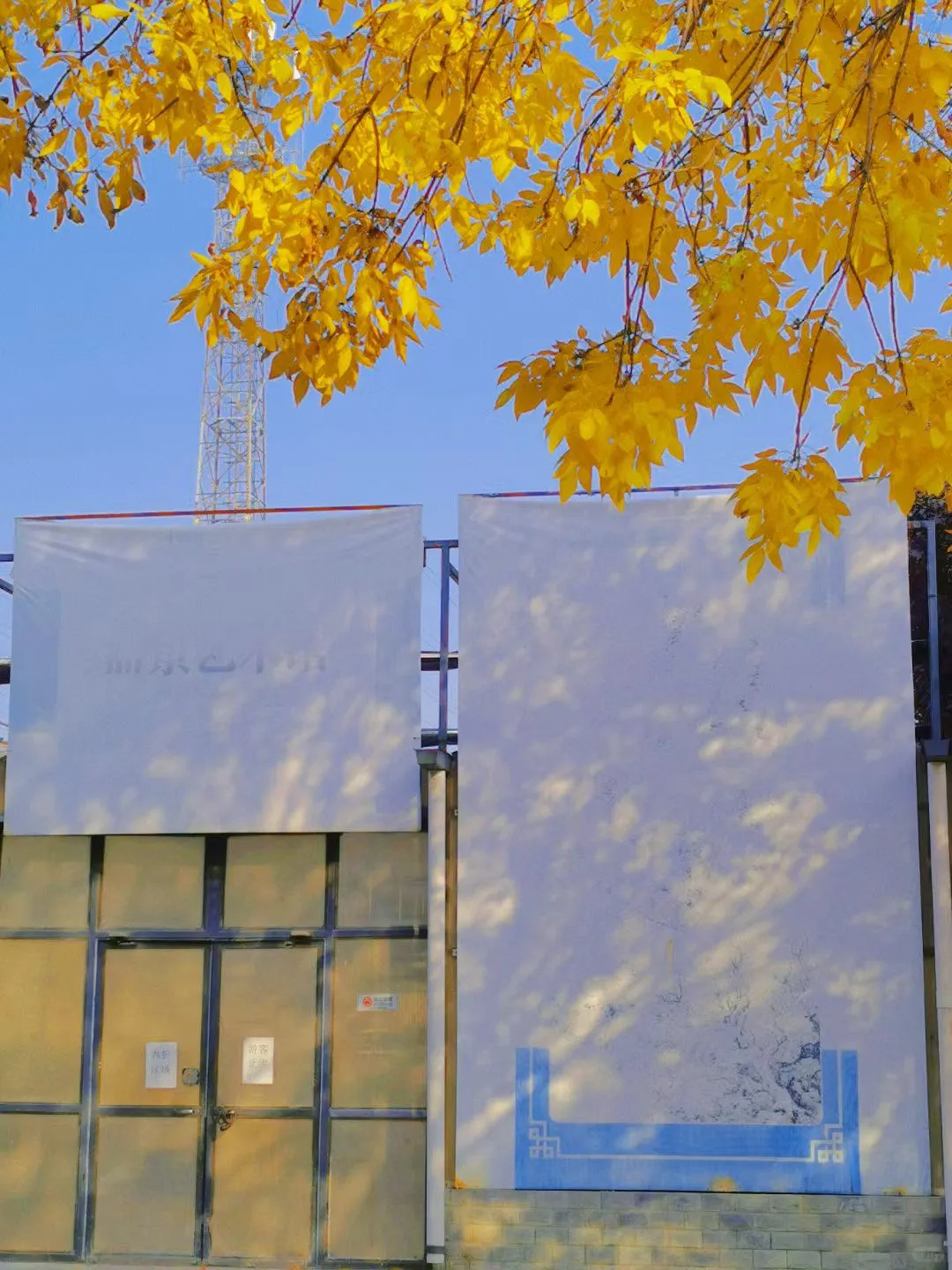 🍂 石家庄植物园的浪漫邂逅