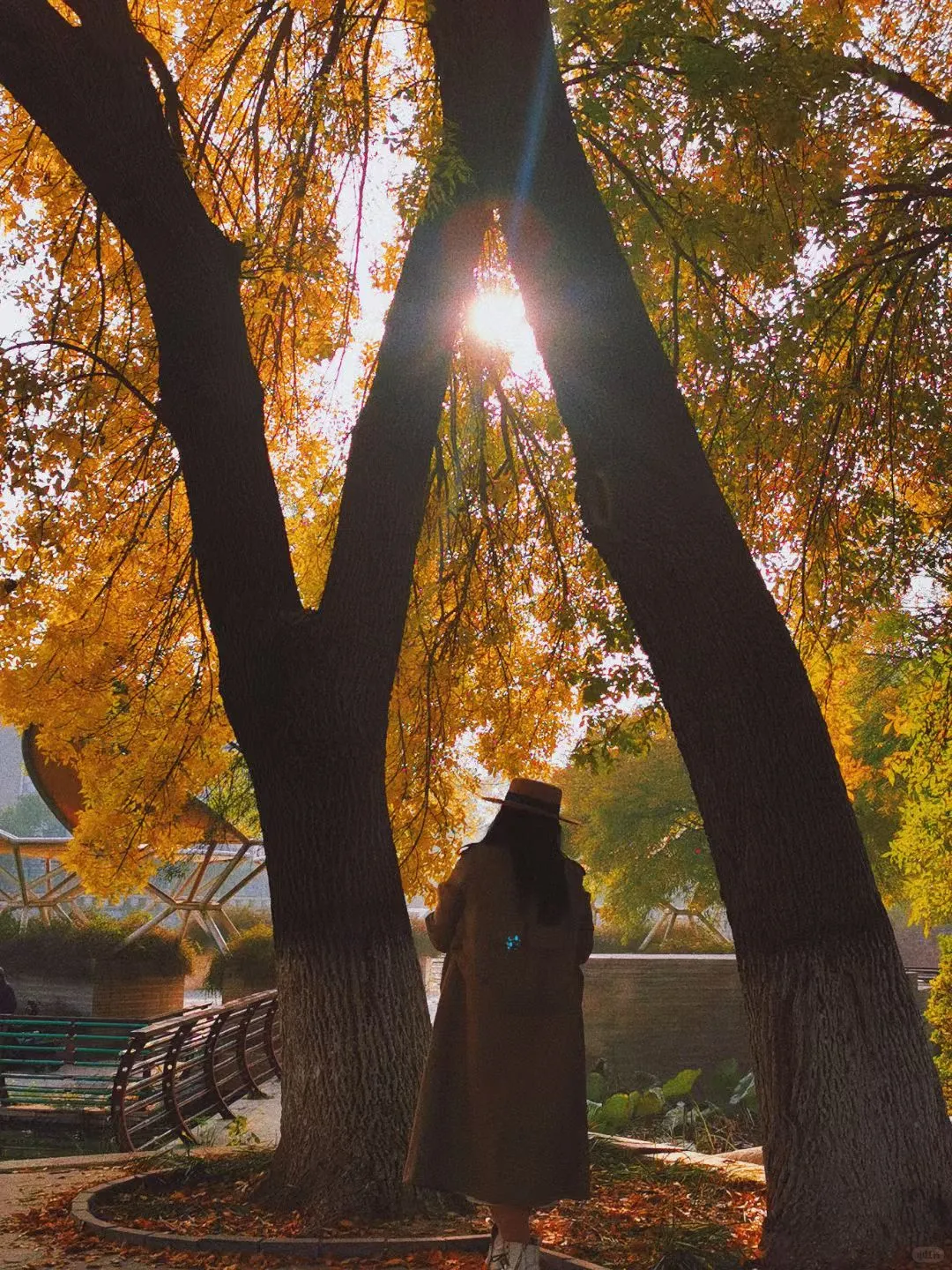 🍂 石家庄植物园的浪漫邂逅