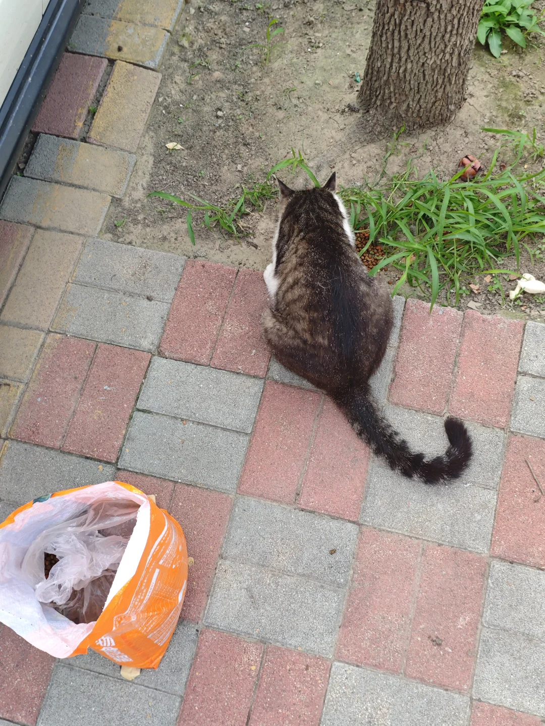 石家庄你们都在做什么工作