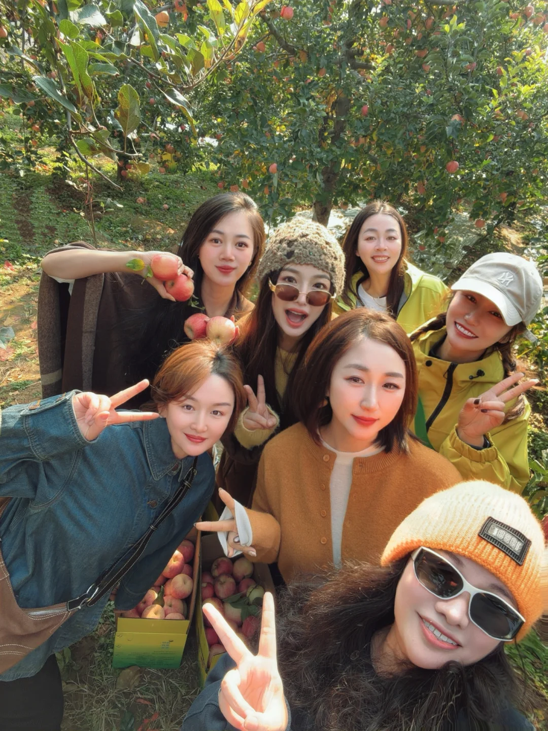 采摘的快乐谁懂！石家庄开车一小时平山采摘