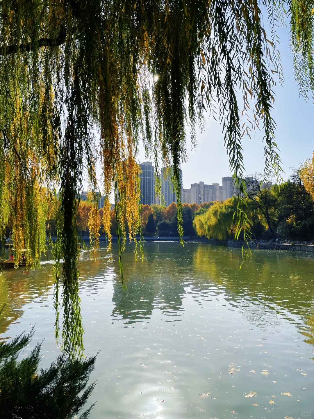 石家庄的秋天绝美！