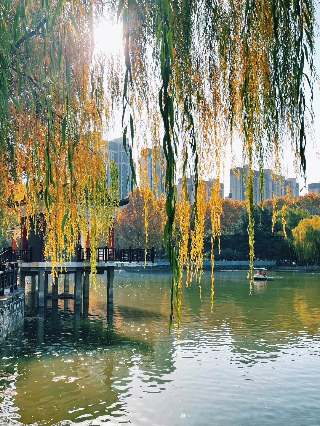 石家庄的秋天绝美！